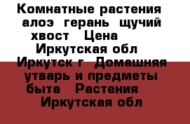 Комнатные растения: алоэ, герань, щучий хвост › Цена ­ 50 - Иркутская обл., Иркутск г. Домашняя утварь и предметы быта » Растения   . Иркутская обл.